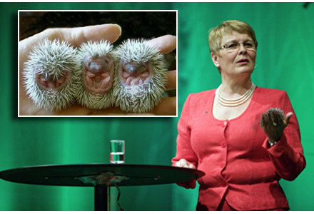 Maud Olofsson presenterade de nya heta efterträdarna på Centerns extrastämma Maud Olofsson presenterade de nya heta efterträdarna på Centerns extrastämma